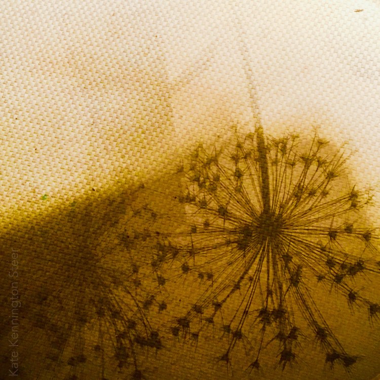 heavenly invisibles (bl)