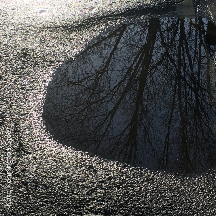 stubborn gladness (bl)