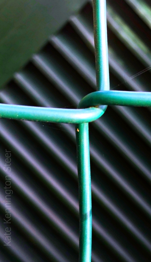 entwined into God's finishing (bl)