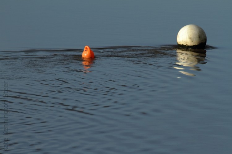 love never quits (bl)